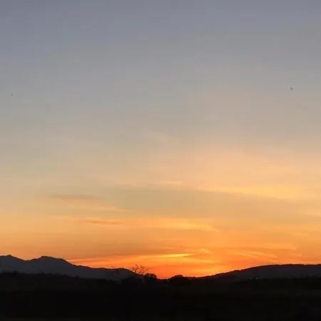 Da Vinci Campo